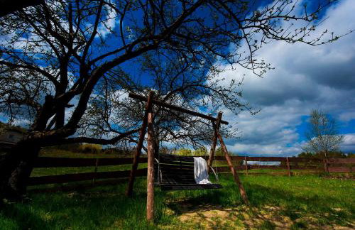 Domki pod jabłonką - Foto 23