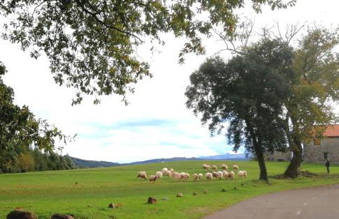 El MIRADOR DE TONO , Casa entera - Foto 6