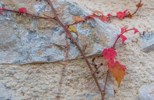 Villa Garica - Photo 29