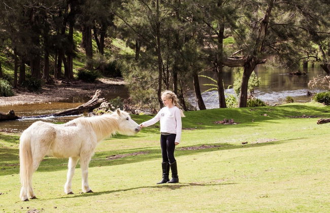 Turon Gates - Mountain Retreat - Foto 48