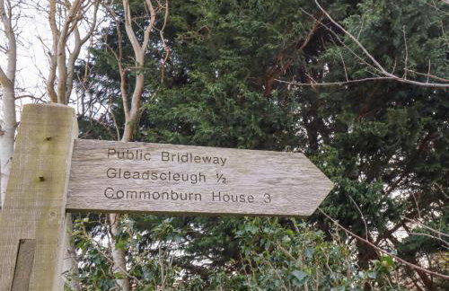 Pansy Plot - Photo 48