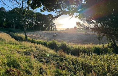 Llanerchydol Hall Suites - Foto 33