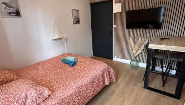 Le Nid Tranquille de Nancy - Photo 3