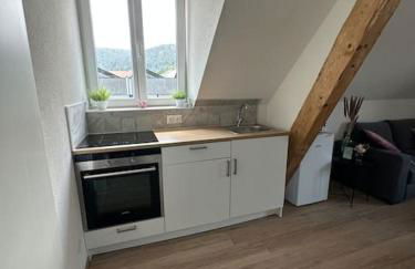 Beau Studio Cosy proche frontière Suisse - Foto 2