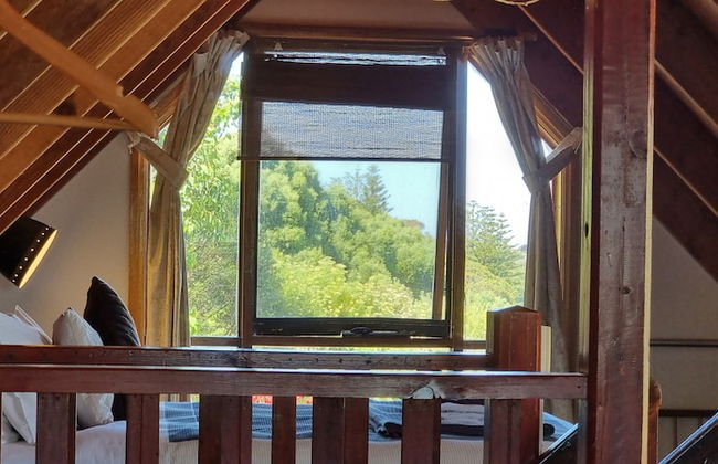 Eastern Reef Cottages - Foto 20