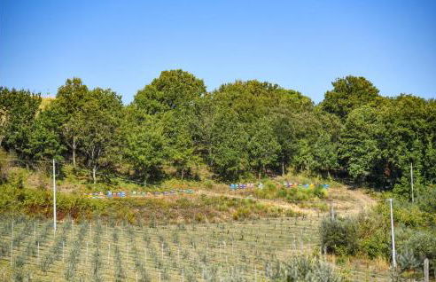 Agriturismo Poggio Di Saragano - Foto 7