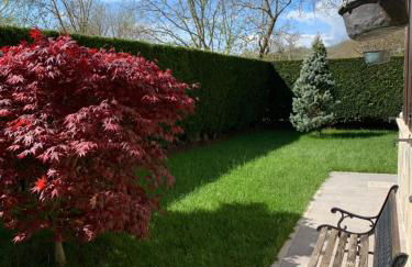 La casa del Pino Argentato - Foto 26