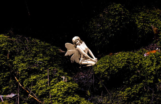 Old Kilmun House - Foto 53