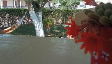 Villa Erasmia - Foto 4