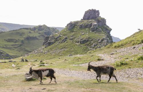 9 Malthouse Court - Foto 25