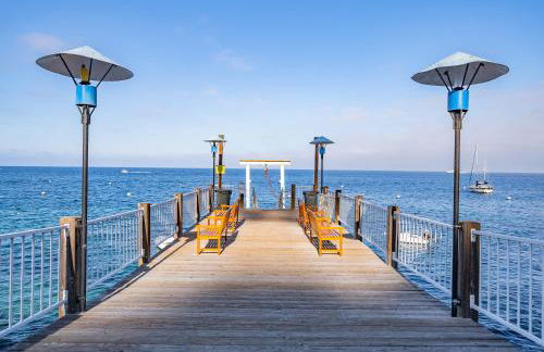 10-Star Property! Premium Ocean Views, Immaculate Corner Condo with Fireplace, New Golf Cart - Foto 30