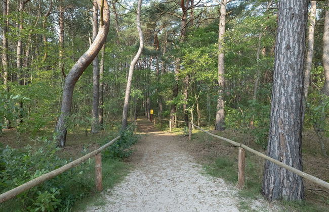 Rogowo Pearl Apartments by Renters - Photo 42