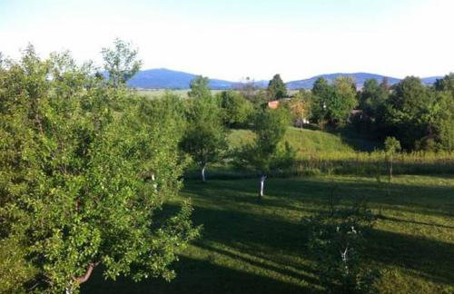 Apartment Lana - Foto 44