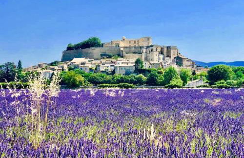 L’Olivier - Foto 27