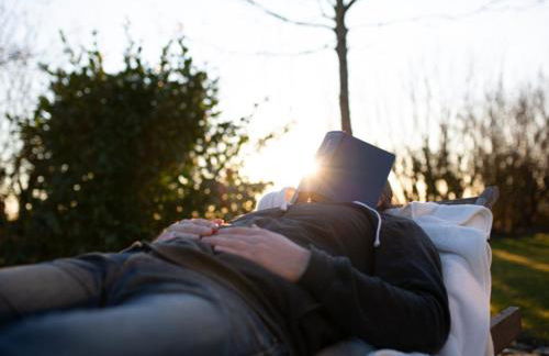 Reetmeer Apartments Spa & Reetdach am Salzhaff - Foto 11