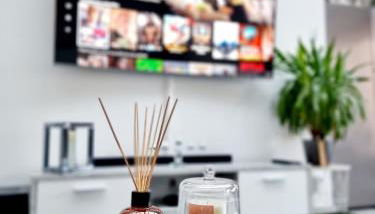 Oasis Citadine Terrasse intime jardin privatif en plein centre ville 70m2 - Foto 5