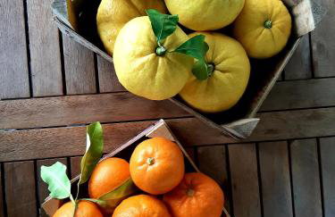 ILIOCHARI sea view apartments Oropos - Kalamos - Foto 42