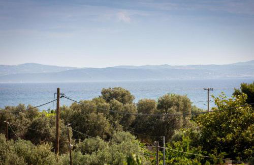 SeaAuraApartment - Foto 28