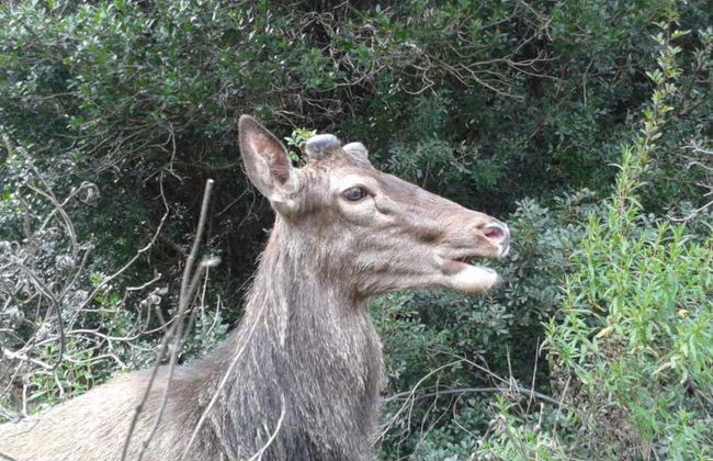 Tour in Castiadas - Foto 7