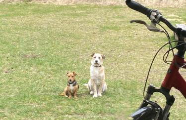 Calm House Krzynia - dom nad jeziorem do wynajęcia - Foto 44