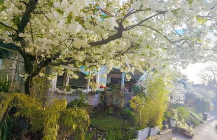 Central Queen Anne Home, Walking Score 96 - Foto 20