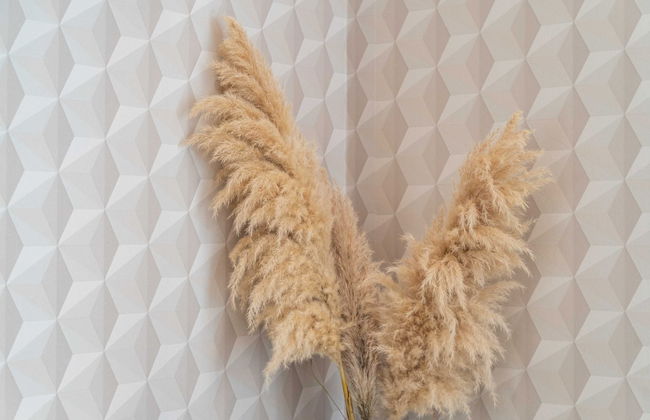 Apartments Villa Palma - Foto 69