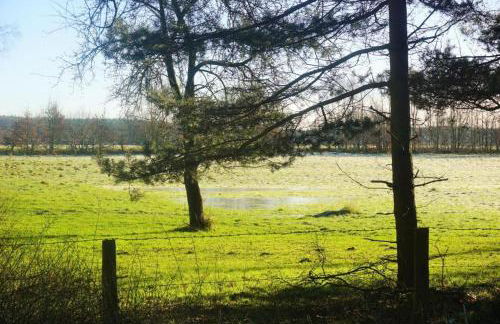 Apartment Pharos - Foto 14