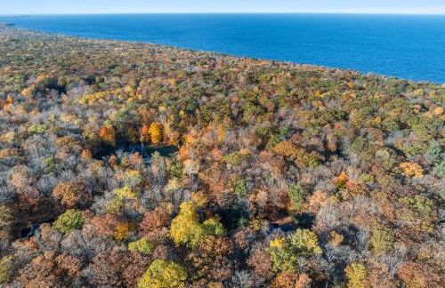 The Dreaming Tree - Foto 35