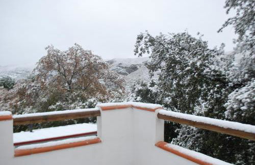 Encinar de Aguas Blancas - Foto 40