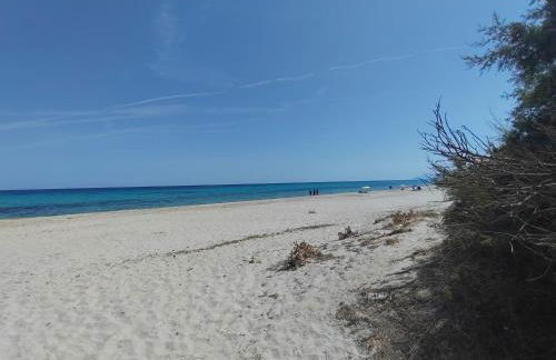 Casa vacanze Berchida - Foto 5