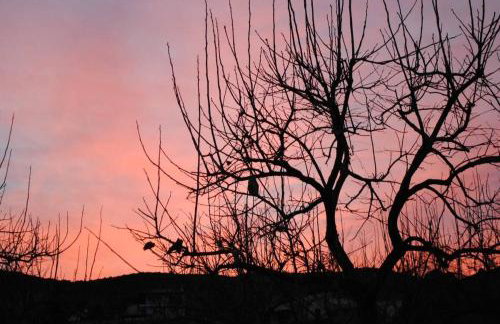 Anta's bnb - Foto 59