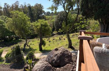 Villa Veronica - Photo 22