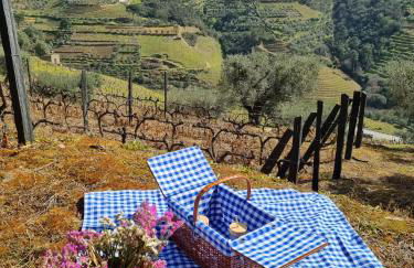 Casa das Marucas - Foto 32