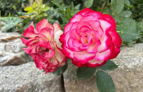 Izerski Poranek - Foto 2