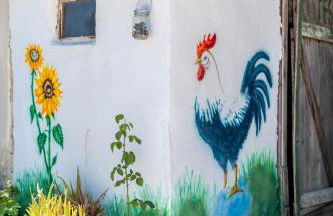 Elena's House - Photo 41