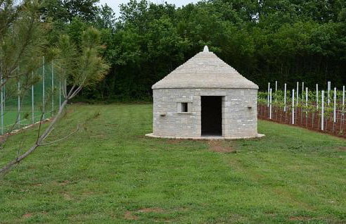 Villa Nikola - Foto 15