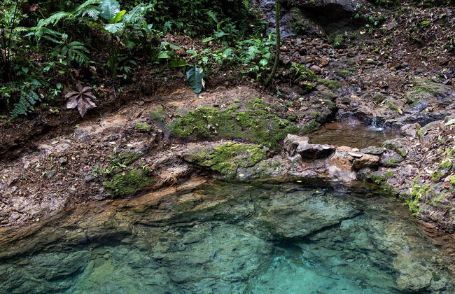 Cabañas Caeli Rainforest Glass Cabin La Perezosa La Fortuna - Foto 32