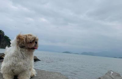 Flat Boa Vista Beach - Foto 20