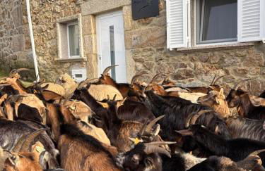 Casa do Beija - Foto 77