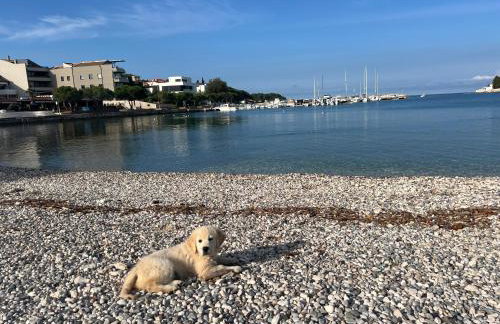 Villa Adriana & Peppino - Photo 52