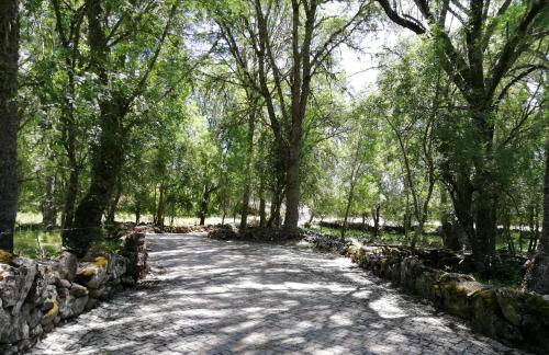 Carya Tallaya - Casas de Campo - Foto 71