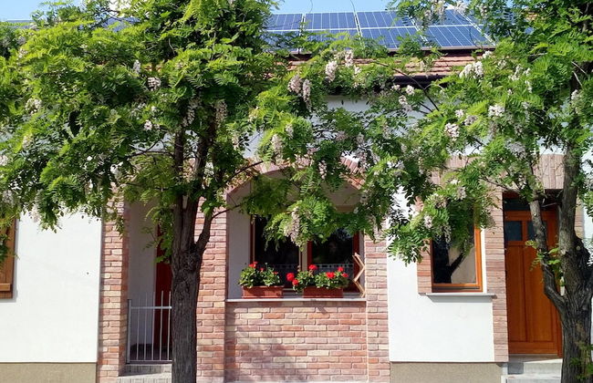 Oázis Apartmanok - Foto 25