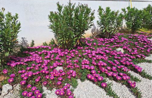 Villa Belvedere - Photo 26