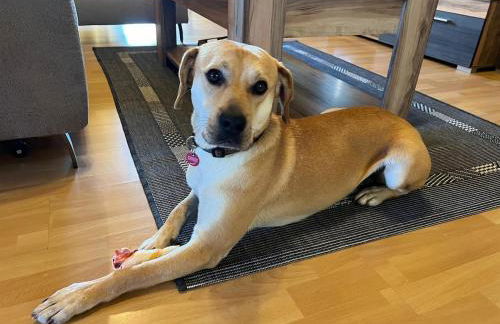 Charlys Bleibe Gastunterkunft inmitten der Natur - Foto 38