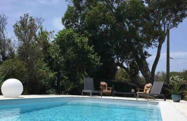 Location à Porto Vecchio - Foto 50