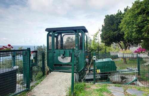 Villino Ortensia - Le Pale - Foto 25