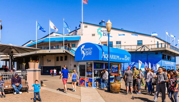El Aquarium of the Bay se ubica en el puerto de San Francisco