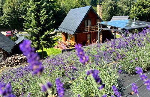 Lawendowe wzgórze - Foto 1