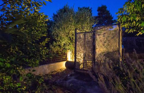 Apartments Pol Murvu - Foto 41