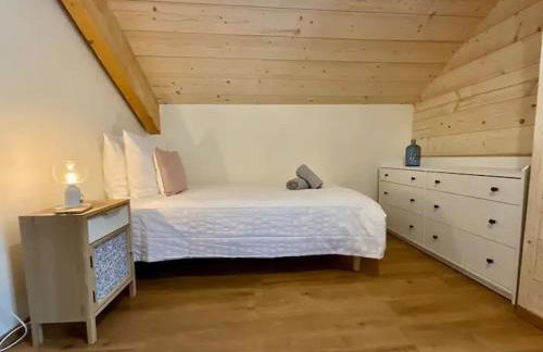 CHALET LES 2 MARMOTTES 4 étoiles Bain nordique, Pétanque - Foto 14